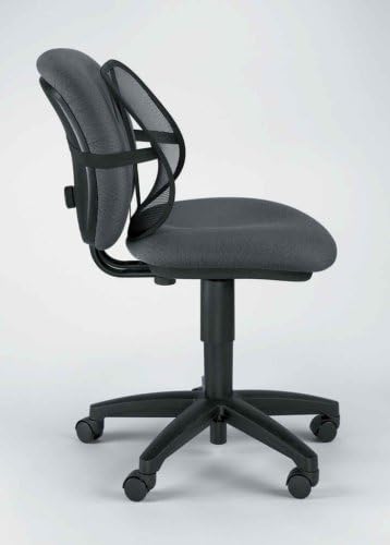 PosturePro Lumbar Support