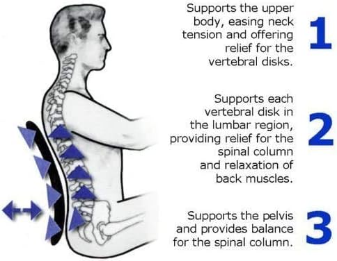 Ergonomic Lumbar Mesh Back Support (1 Pack).