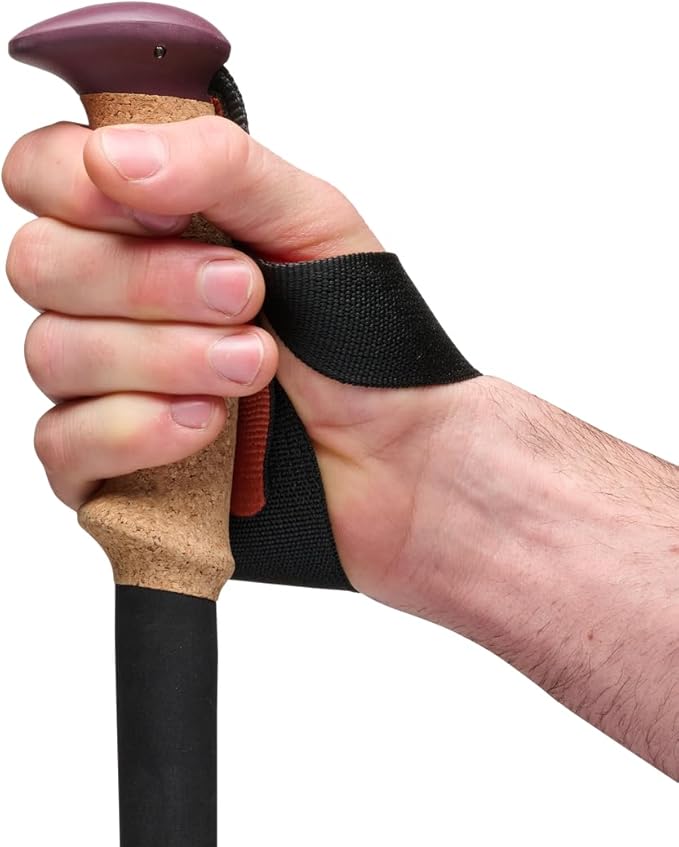 BLACK DIAMOND Trail Trekking Poles (Pair) | Lightweight Aluminum Hiking Poles | Natural, Cork, or Foam Grips | FlickLock Adjustable Shafts for All-Season Stability