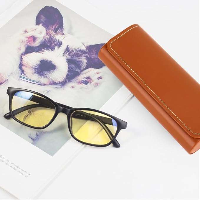 RayLove Hard Shell Glasses Case, Lightweight Leather Eyeglass Case, Travel-Friendly Sunglasses Protector for Men & Women