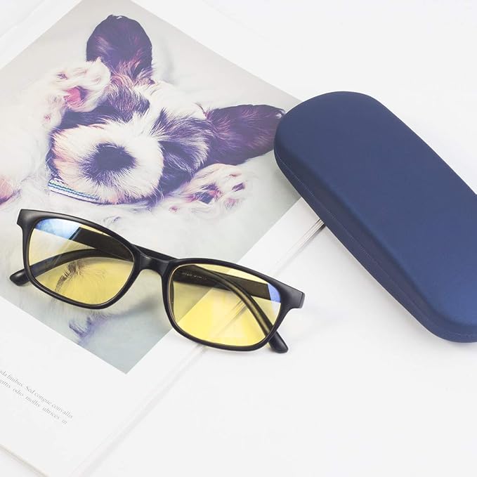 RayLove Unisex Hard Shell Eyeglasses Cases, Protective Case For Glasses