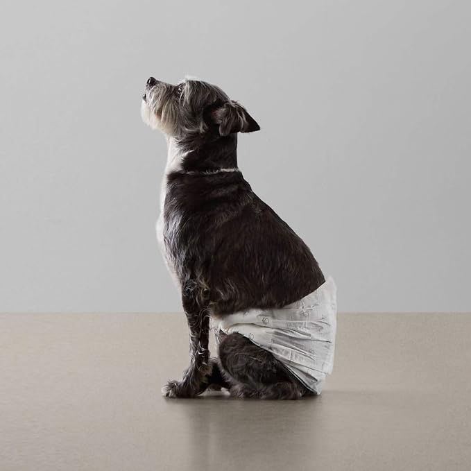 Amazon Basics Leak-Proof, Super Absorbent Male Dog Diapers with Wetness Indicator, Comfortable Design, Breathable Disposable Wrap, Secure Fit, Small, 30 Count
