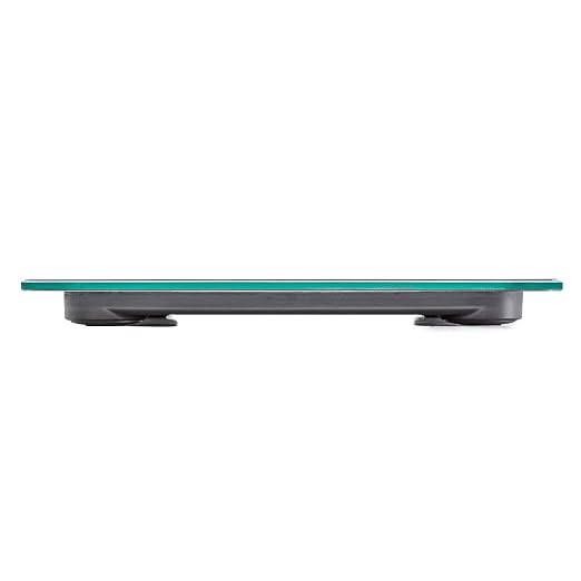 Talking Scales - Clear Loud North American Voice, Big Numbers Stylish Look (Stainless)