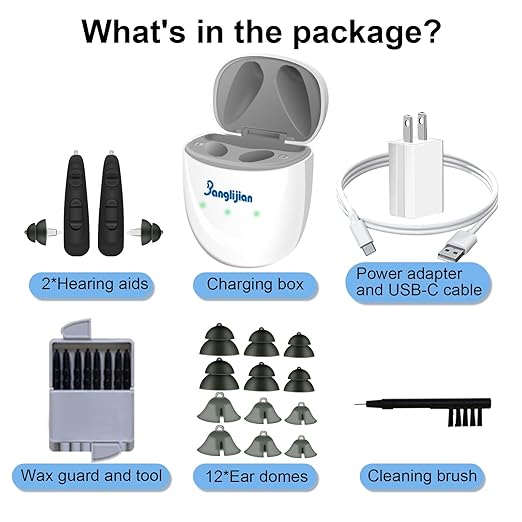 Banglijian BL04RD OTC Hearing Aids for Seniors - Rechargeable RIC Receiver in Canal Design, 16-Channel Clear Sound with Intelligent Noise Cancelling & Lower Distortion, Easy Operation (Pair, Black)