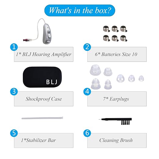 BLJ Hearing Aid for Seniors, Invisible Digital Hearing Amplifier to Assist Hearing, Lightweight with Noise Reduction and Feedback Cancelling (Red-Right Ear)
