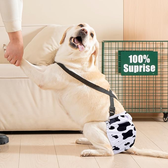 Avont 3 Pack Washable Female Dog Diaper with Suspender - M | Reusable Girl Doggie Diapers for Small Medium Large Dog in Heat Cycle Period Incontinence (Duck/Cow/Pony)