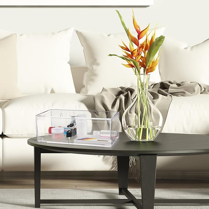 Refrigerator Medicine Lock Box with Keys and Mounting Hardware 8 x 4.5 x 3 Inch Wall Mount Locking Medicine Box Clear Acrylic Wall Cabinet, First Aid Kit for Emergencies Home Use