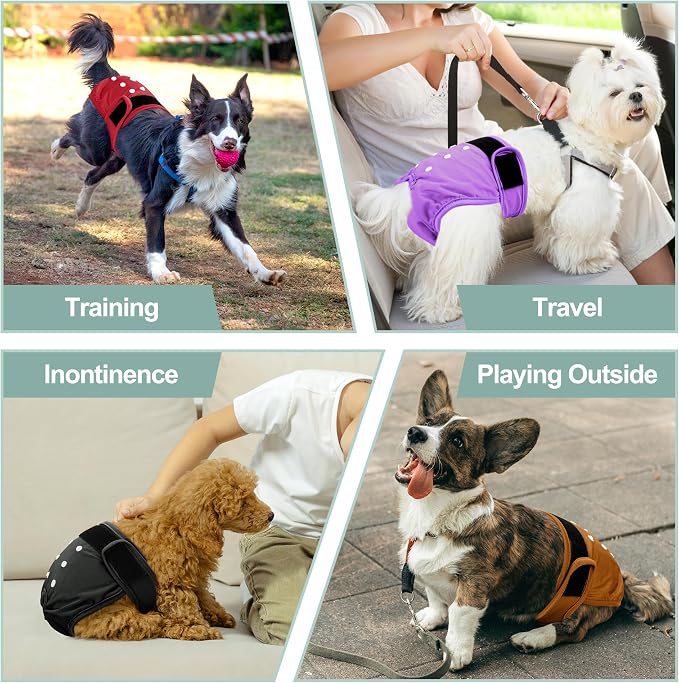 Female Dog Diapers 5Pcs - Premium Reusable Diapers for Doggie in Heat - Highly Absorbent Dog Diapers Female for Pet Incontinence, Red, L