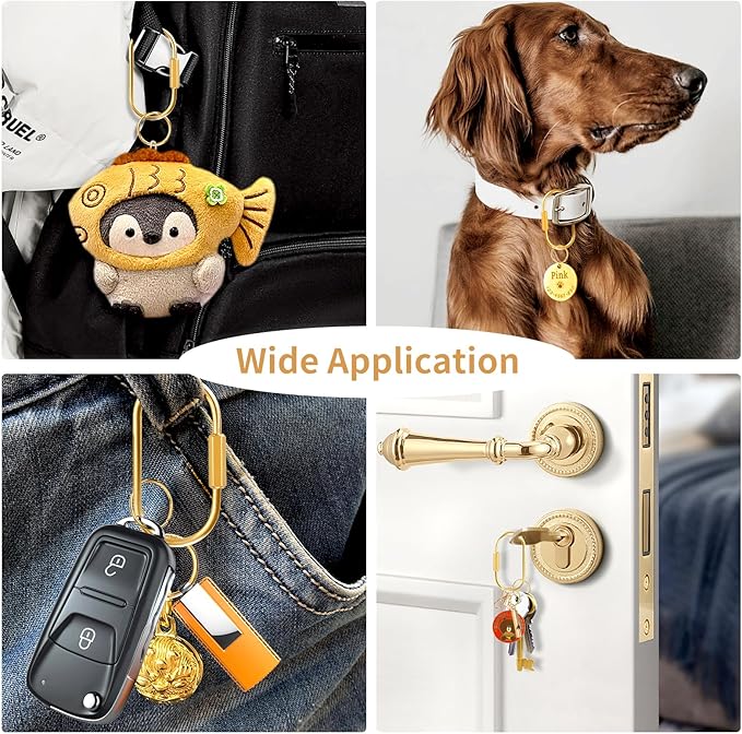 Muitcdo Brass Key Rings Bulk, Key Chain Organizer Holder for Men Women with Secure Screw Locking