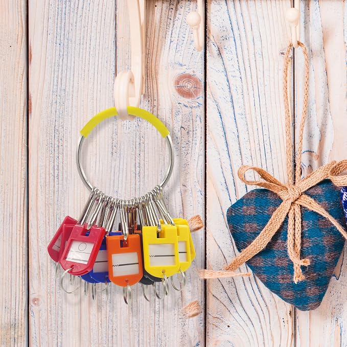 Portable Key Organizer, Key Organizer Keychain with 20 Individual Spring Hooks and Key Tags for Multiple Keys, Lightweight Key Holder for Office, Janitor, Hotel, Apartments, Cars Rental