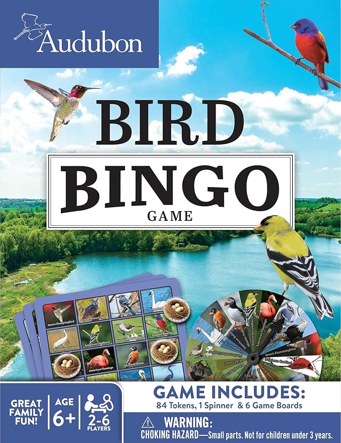 MasterPieces Kids Games - Audubon Bird Bingo Game