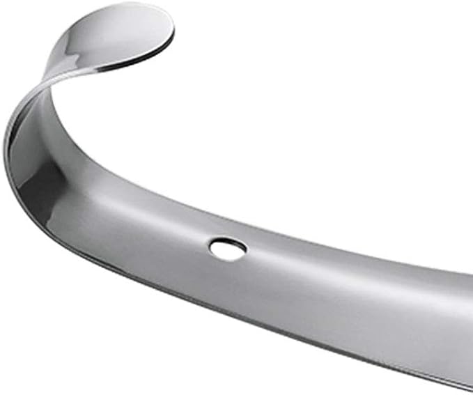 GSHLLO 2 Pcs 5.7 inch Stainless Steel Shoehorn Metal Shoe Horn Shoe Lifting Helper for Men Women