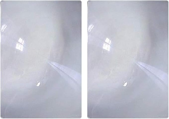 2 Pack Full Page 3X Magnifier/Plastic Magnifying Sheet Fresnel Lens, 2 Count (Pack of 1)