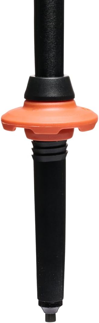 BLACK DIAMOND Trail Trekking Poles (Pair) | Lightweight Aluminum Hiking Poles | Natural, Cork, or Foam Grips | FlickLock Adjustable Shafts for All-Season Stability