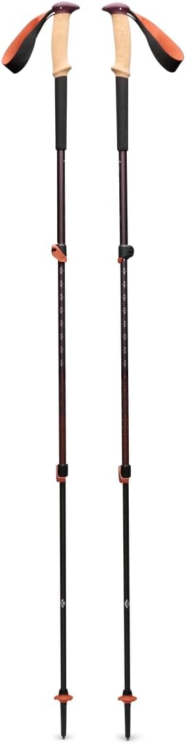 BLACK DIAMOND Trail Trekking Poles (Pair) | Lightweight Aluminum Hiking Poles | Natural, Cork, or Foam Grips | FlickLock Adjustable Shafts for All-Season Stability