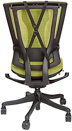 Best Back Cushion Pain Relief Full Back Muscle Pain Relief Support Cushion Mid-Back Support for Office, Home or Car