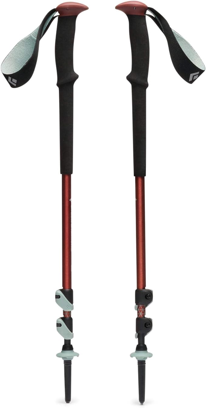 BLACK DIAMOND Trail Trekking Poles (Pair) | Lightweight Aluminum Hiking Poles | Natural, Cork, or Foam Grips | FlickLock Adjustable Shafts for All-Season Stability