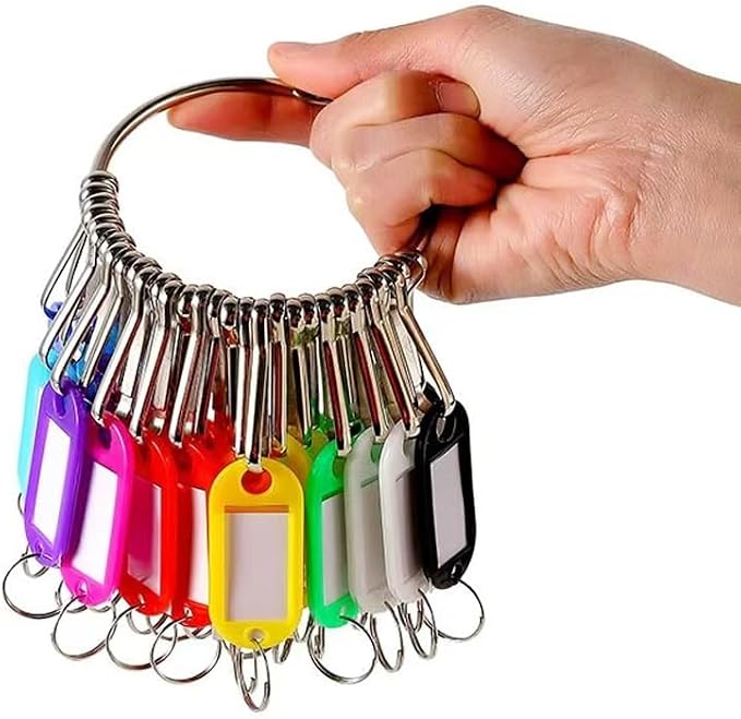 Portable Key Organizer with Key Tags Set 30 Colored Key Labels with Janitor Key Ring Hoop Key Chain Frequency Management Multiple Keys Holder for Unit Property Manager Office Cabinet Keys