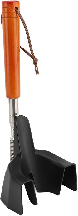 Zunate Long Handle Shoe Horn with 31 Inch Telescopic Rod, Stainless Steel Tool for Seniors and Pregnant Women to Assist in Putting on Sneakers and Dress Shoes