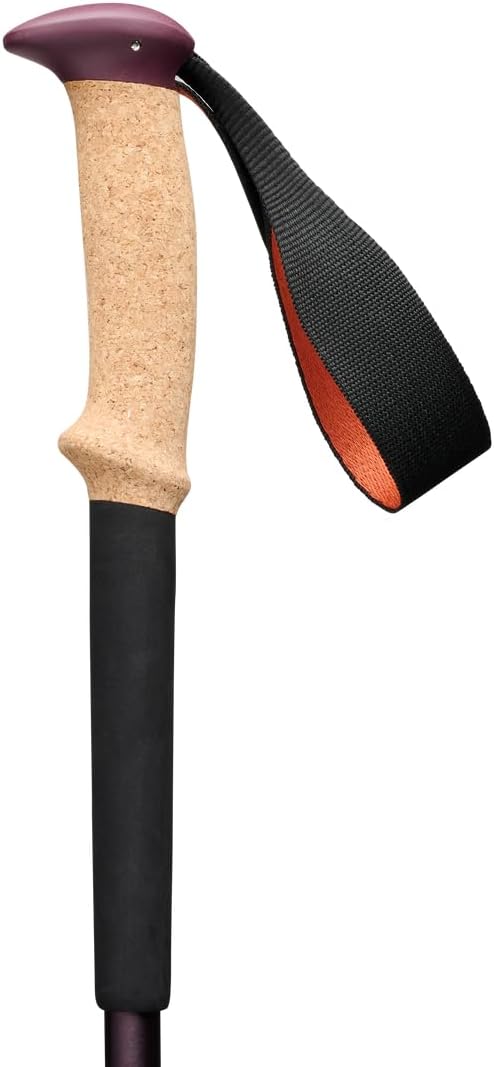 BLACK DIAMOND Trail Trekking Poles (Pair) | Lightweight Aluminum Hiking Poles | Natural, Cork, or Foam Grips | FlickLock Adjustable Shafts for All-Season Stability