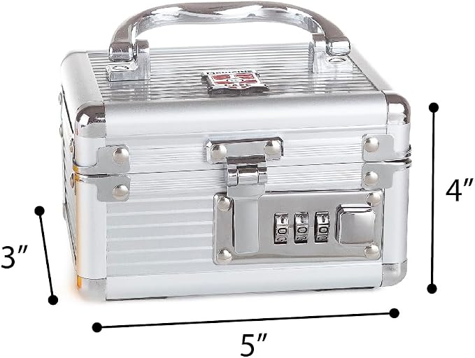 MEDICINE RX SAFE Medication Carrying Case - Mini/Silver