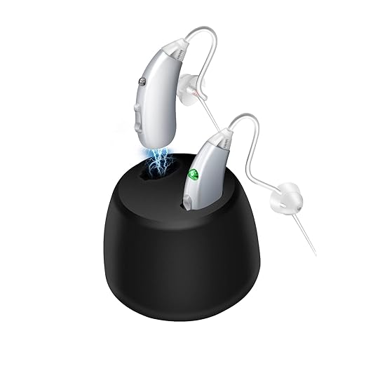 Banglijian Rechargeable Hearing Aids for Seniors - Intelligent DSP Noise Cancellation, Behind-the-Ear (BTE) Design, Easy-to-Use, Comfortable Fit, 20H Battery Life, Magnetic Charging (Silver)