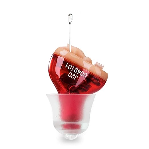 Hearing Aid for Seniors Adults Noise-Cancelling | Hearing Amplifier Invisible , Cleaning Tools Included (Red)