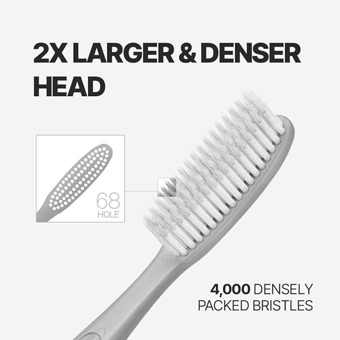 WANGTA Basic Stone – Extra Large Toothbrush – 1.6 inch (4 cm) Wide Head | 4,000 Bristles for Deep Cleaning & Gum Care | Made in Korea Premium Oral Care (10 Pack)