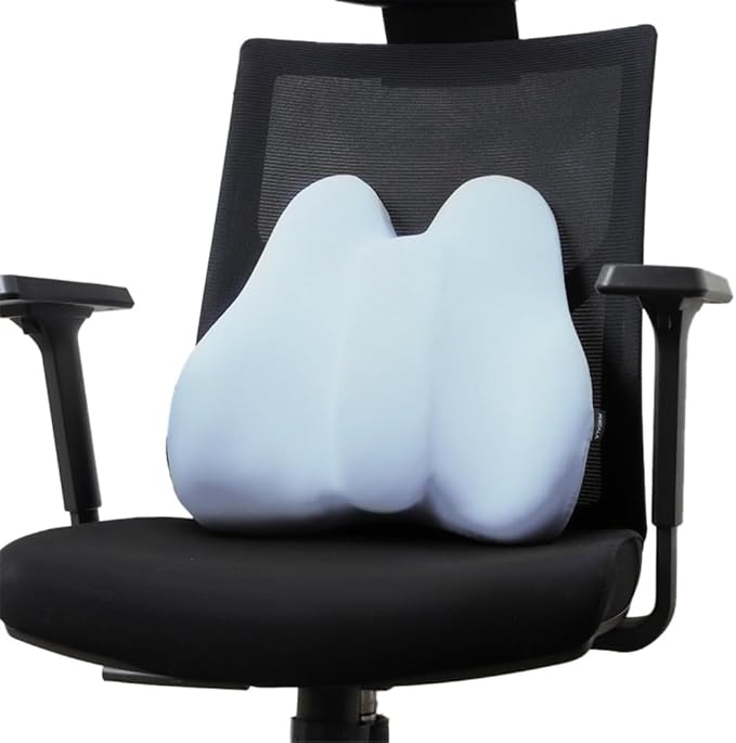 King Mills Plus Size Lower Back Support for Office Chair, Ergonomic Back Support for Office Chair Women w. Back Pain, Memory Foam Filling Car Lumbar Pillow for Pain Relief & Back Rest, Blue