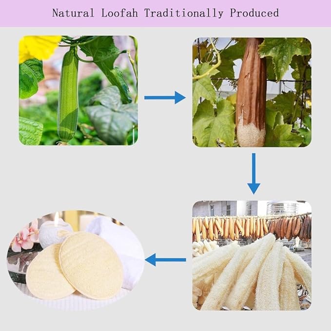 Natural Loofah Body Scrubber Sponge,3 Pack | Body Scrubber,Exfoliator,Bath Sponge,Biodegradable,with Hanging Loop,Gentle Cleanser for Face & Body,for Women and Men