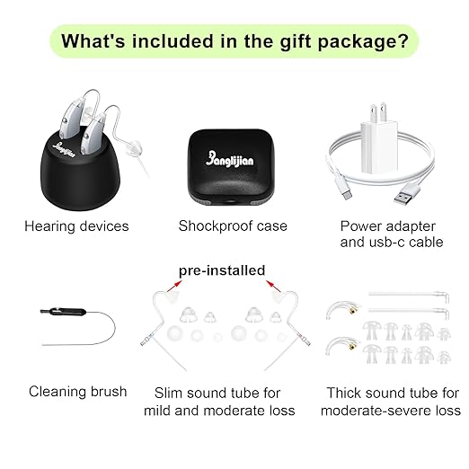 Banglijian Rechargeable Hearing Aids for Seniors - Intelligent DSP Noise Cancellation, Behind-the-Ear (BTE) Design, Easy-to-Use, Comfortable Fit, 20H Battery Life, Magnetic Charging (Silver)