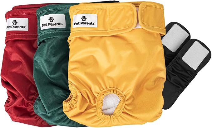 Pet Parents® Washable Dog Diapers (3pack) + Extendrs® of Durable Doggie Diapers, Premium Dog Diapers Female (Small, Samba)