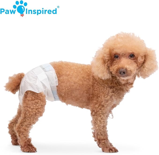 Paw Inspired Disposable Dog Diapers | Female Dog Diapers Ultra Protection | Diapers for Dogs in Heat, Excitable Urination, or Incontinence (12 Count, Small) | Ultra Protection, Adjustable Fasteners, Comfortable Fit, Leakproof Core, For Dogs in Heat, Ex...