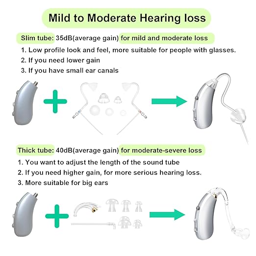 Banglijian Rechargeable Hearing Aids for Seniors - Intelligent DSP Noise Cancellation, Behind-the-Ear (BTE) Design, Easy-to-Use, Comfortable Fit, 20H Battery Life, Magnetic Charging (Silver)