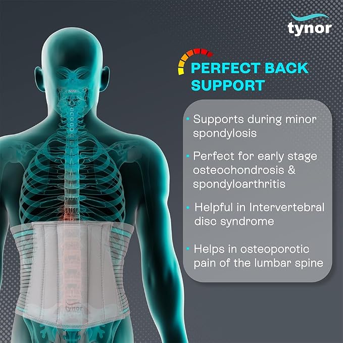 TYNOR Lumbar Support Belt Breathable Compression Lower Back Brace, Adjustable Waist Lumbar Support Brace for Men & Women, Herniated Disc, Sciatica, Back Pain & Heavy Lifting (XXL, Grey)