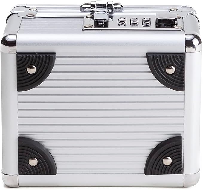 MEDICINE RX SAFE Medication Carrying Case - Mini/Silver