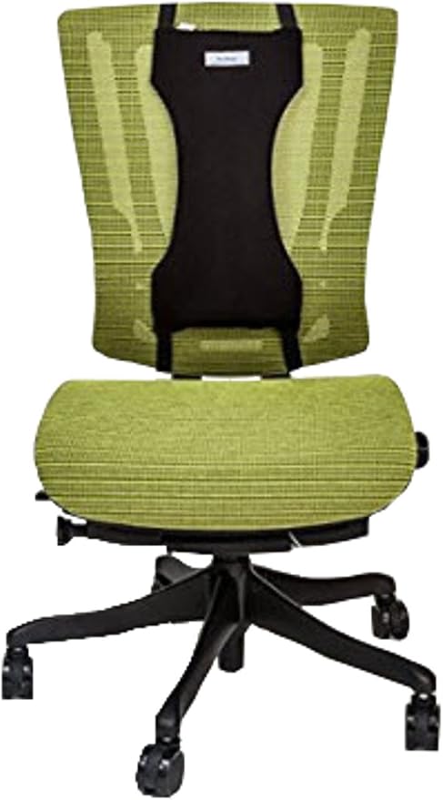Best Back Cushion Pain Relief Full Back Muscle Pain Relief Support Cushion Mid-Back Support for Office, Home or Car