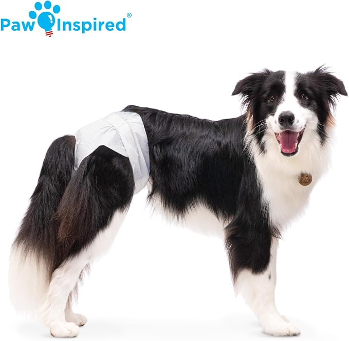 Paw Inspired Disposable Female Dog Diapers, Large Size, 144 Count | Ultra Protection, Adjustable Fasteners, Comfortable Fit, Leakproof Core, For Dogs in Heat, Excitable Urination, Incontinence
