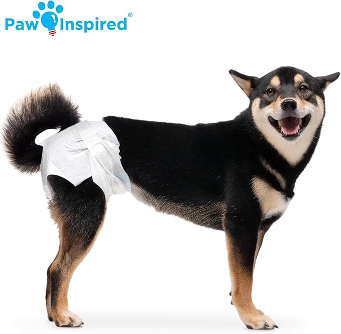 Paw Inspired Disposable Dog Diapers | Female Dog Diapers Ultra Protection | Diapers for Dogs in Heat, Excitable Urination, or Incontinence (12 Count, Medium) | Ultra Protection, Adjustable Fasteners, Comfortable Fit, Leakproof Core, For Dogs in Heat, E...