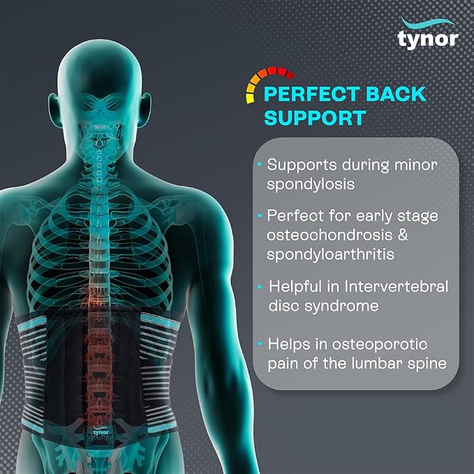 TYNOR Back Support Belt Adjustable Back Brace for Lower Back Pain,Breathable Lumbar Support Belt for Men & Women, Lower Back Brace for Herniated Disc, Sciatica & Heavy Lifting (Small, Classic Black)