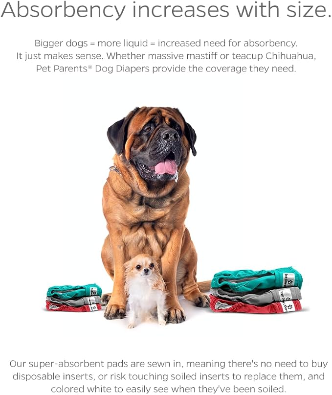 Pet Parents® Washable Dog Diapers (3pack) + Extendrs® of Durable Doggie Diapers, Premium Dog Diapers Female (Medium, Southern Belle)