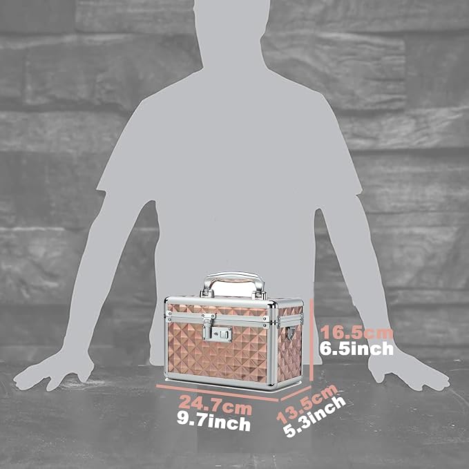 Storage Box with Key Lock, Lockable Medicine Storage Box, Empty First Aid Box, Security Lock Box, Multipurpose Locking Box for Home and Outdoor Use (Champagne, Small)