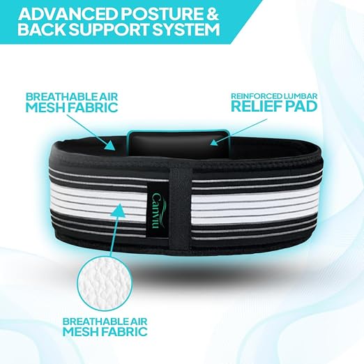 Back Brace for Lower Back Pain - Immediate Relief from Sciatica, Herniated Disc, Scoliosis - Breathable + Lumbar Support Pad - For Men & Women (Large)