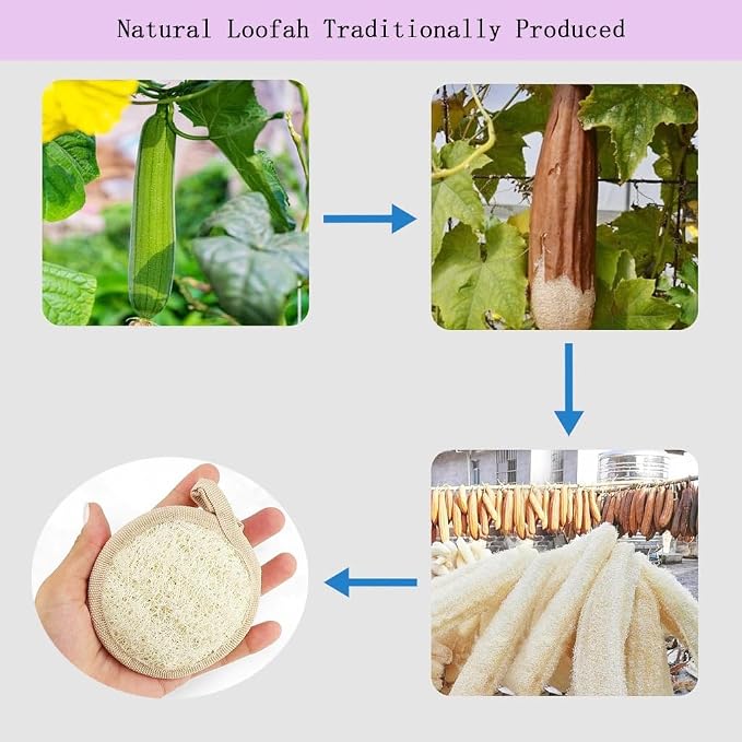 Natural Loofah face Scrubber Pads, 6 Pack | Loofah Facial Pads,Biodegradable，Exfoliator，with Hanging Loop