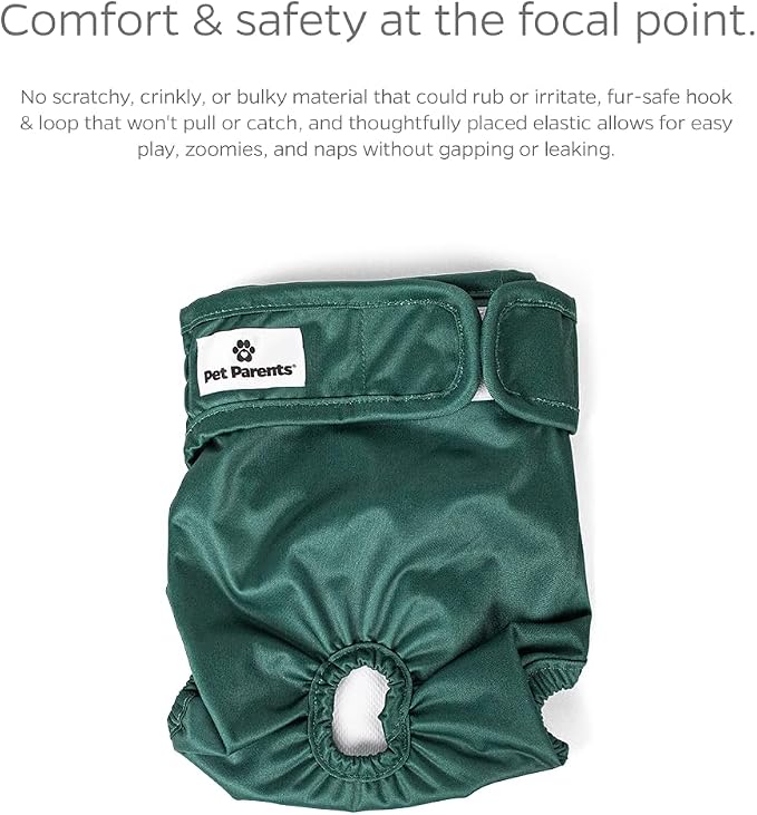 Pet Parents® Washable Dog Diapers (3pack) + Extendrs® of Durable Doggie Diapers, Premium Dog Diapers Female (Small, Samba)