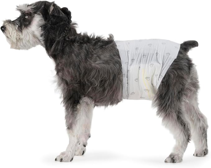 Amazon Basics Male Dog Diapers, Super Absorbent Disposable Wrap with Leak-Proof Protection, Wetness Indicator, Secure Fit, Breathable, Medium, 50 Count