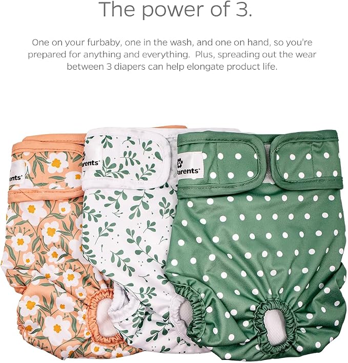 Pet Parents® Washable Dog Diapers (3pack) + Extendrs® of Durable Doggie Diapers, Premium Dog Diapers Female (X-Small, Daisy)