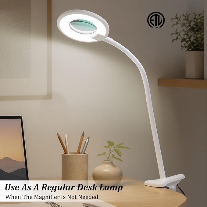 3X+6X Magnifying Glass with Light and Stand,Dimmable LED Magnifying Lamp | Clip on, Flexible Gooseneck, Hands Free Magnifier, Magnification Lamp for Elderly Craft Hobby Painting Sewing Close Work