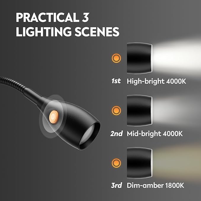 acegoo Wall Mounted Minimalist Bedside Reading Light, Wooden Headboard Mount Flexible Neck Book Light, Handy Lamp Head Switch, CRI 98+ 4000K LED, Powered by USB