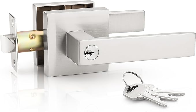 KNOBWELL 1 Pack Door Handles with Lock and Key, Brushed Nickel Exterior Door Handlesets for Front Door/Gate/Garage(Different Keys)